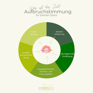 Ziel_Aufbruchstimmung-Darm
