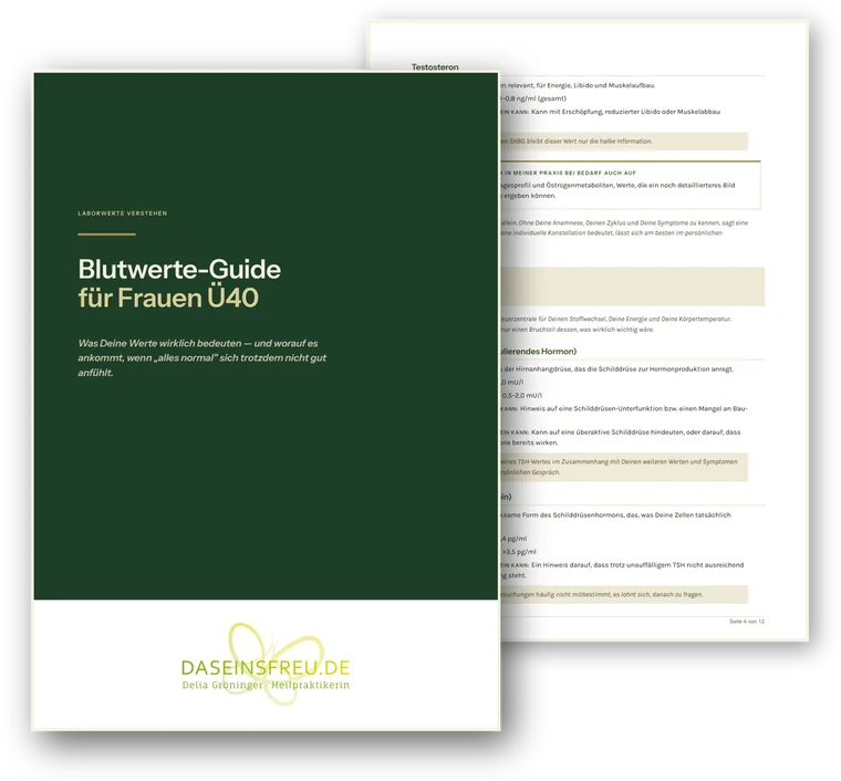 Der Blutwerte-Guide für Frauen Ü40: Deckblatt in Waldgrün und eine Innenseite mit Laborwerten, Zielbereichen und Hinweisen